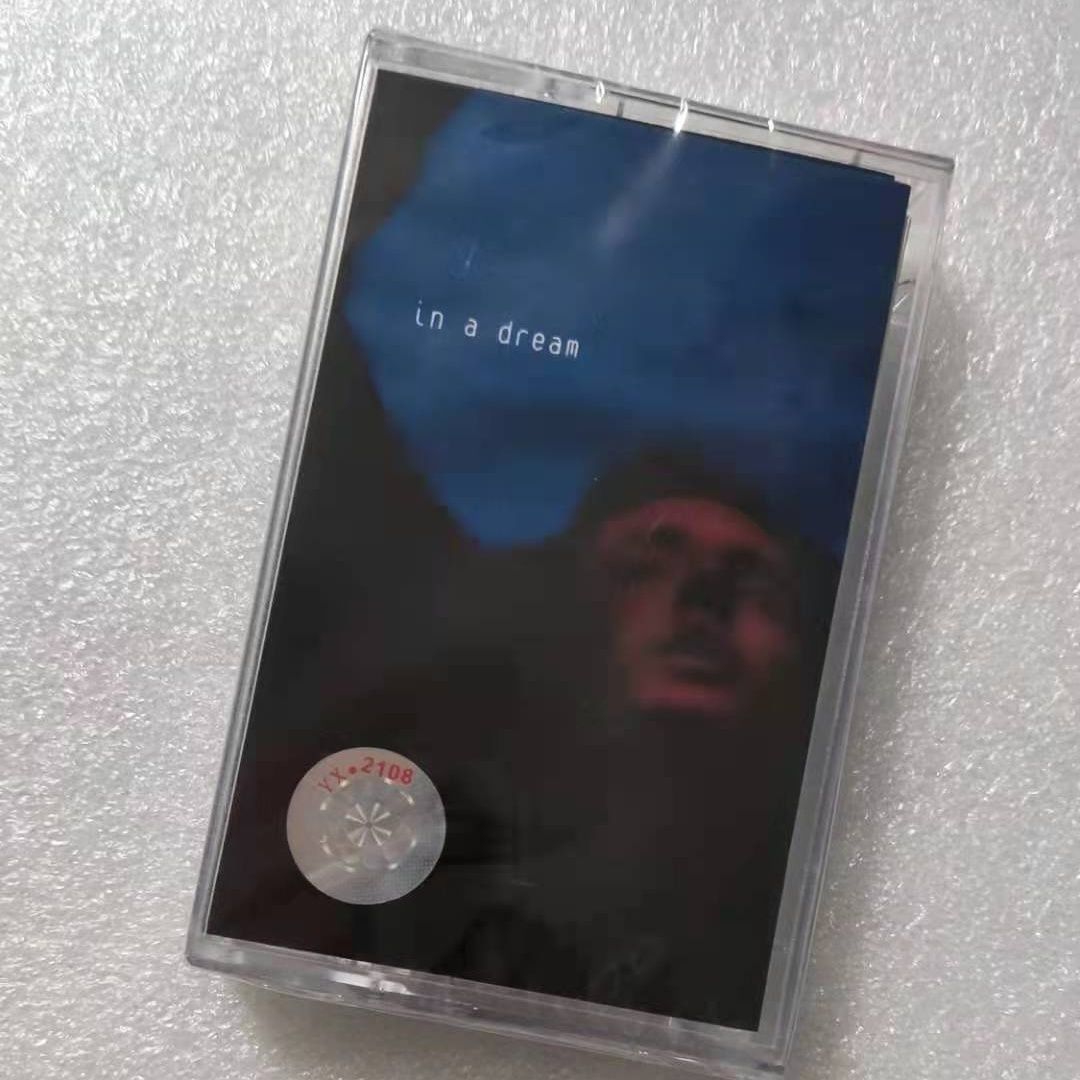 Troye Sivan In A Dream Album M - Electronic Gift avis et prix
