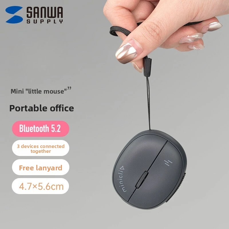 Souris miniature SANWA personn - Laser Pointer Presenter avis et prix